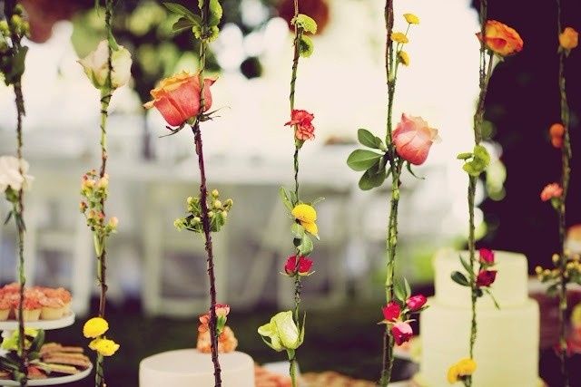 rosas