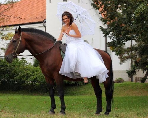 Y a caballo!
