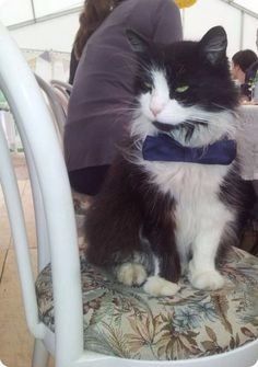 Un invitado muy especial