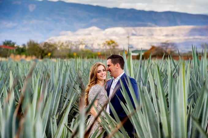 Donde sera la sesión de fotos??? - 5
