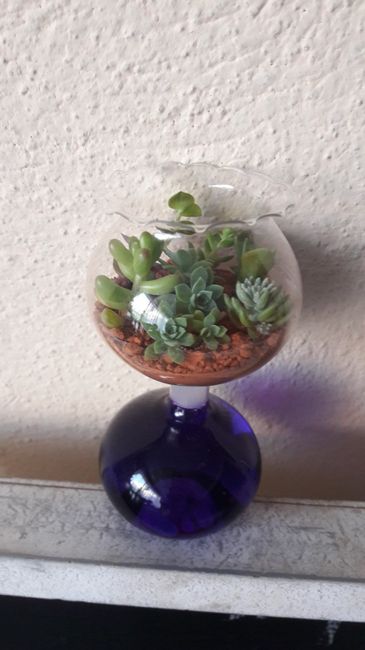 Terrario de recuerdo