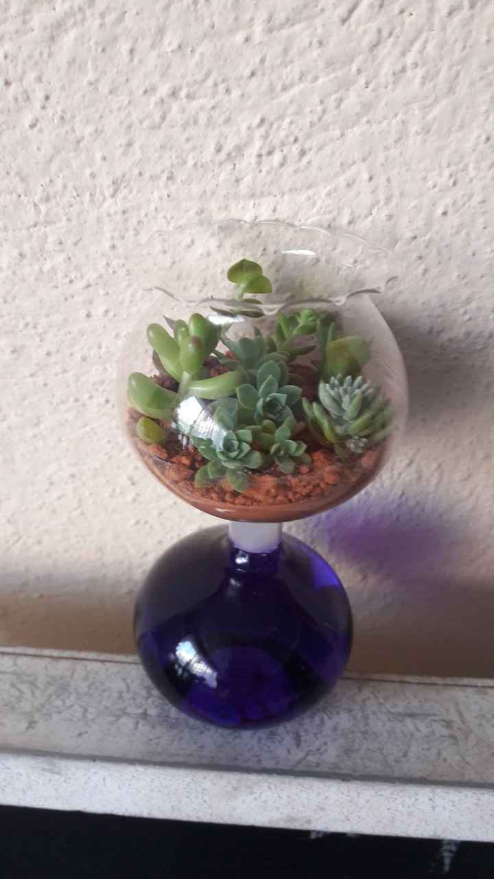 Terrario de recuerdo