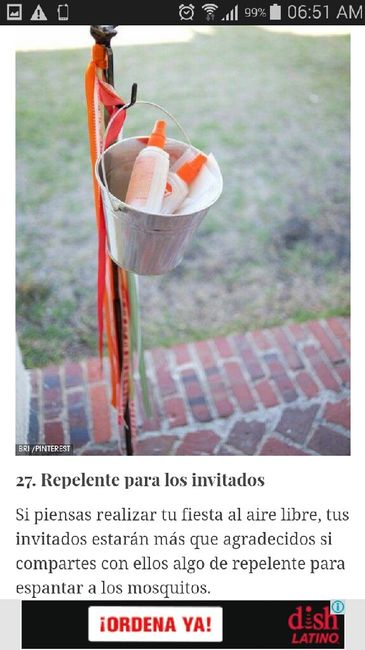 Cómo es su vestido? - 9