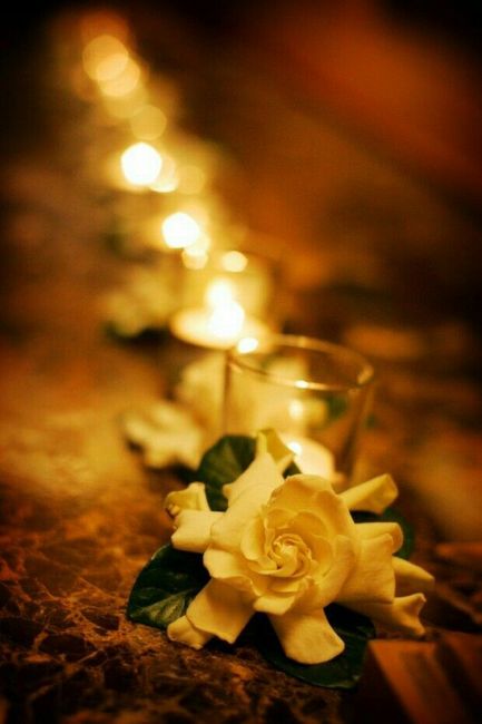 ¡boda en las nubes! - 1