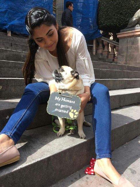 ¿dejarán alguna mascota con sus papás cuando se casen? - 1