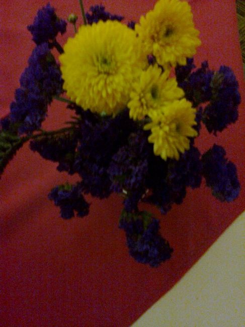 Esta combinación de colores en las  flores me gusto