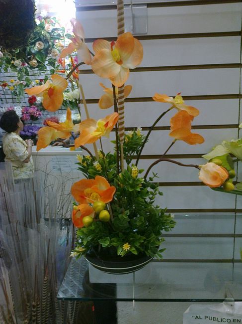 Orquideas