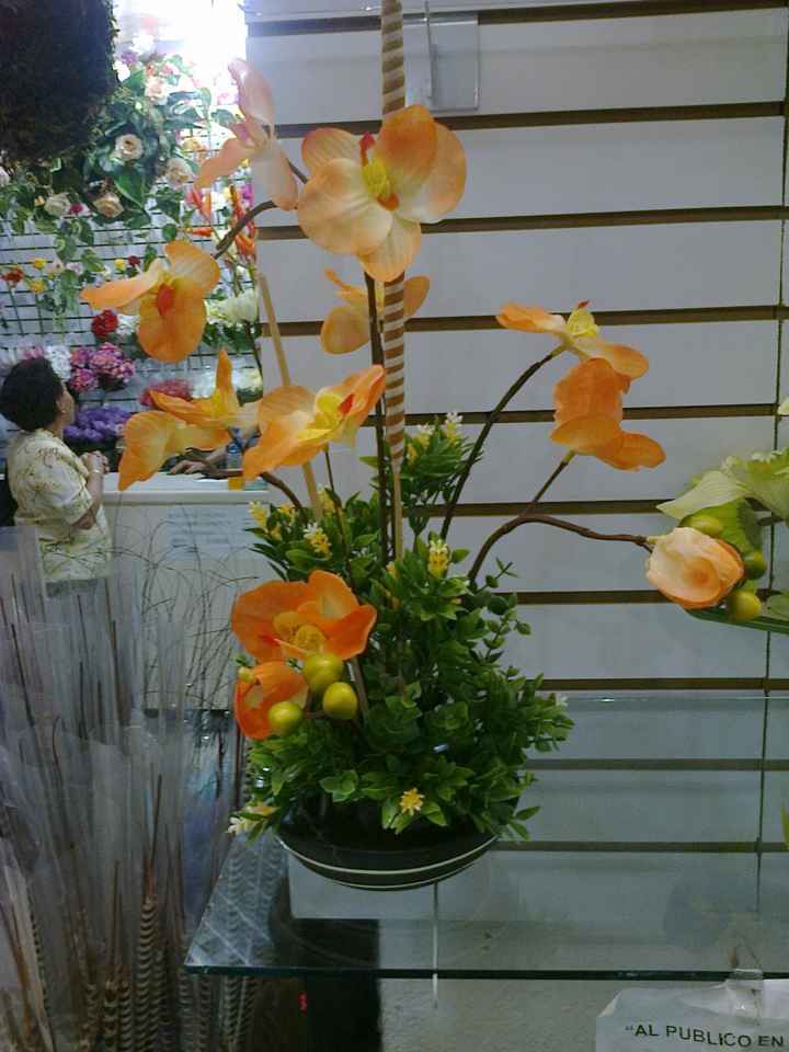 Orquideas