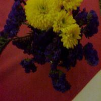 Esta combinación de colores en las  flores me gusto