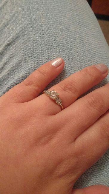 Mi sorpresa romántica Virys 1