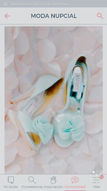 Cual de estos,  serían sus zapatos? - 1