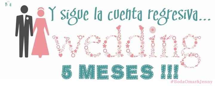 5 meses 