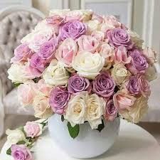 Combinación rosa, lila, blanco