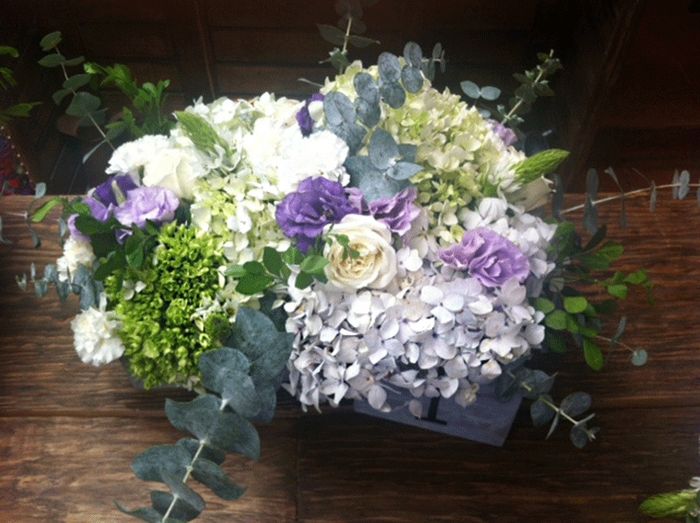 Flores diferentes lilas, con blanco