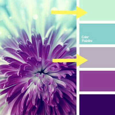 El color que elejimos para la boda!!!! - 1
