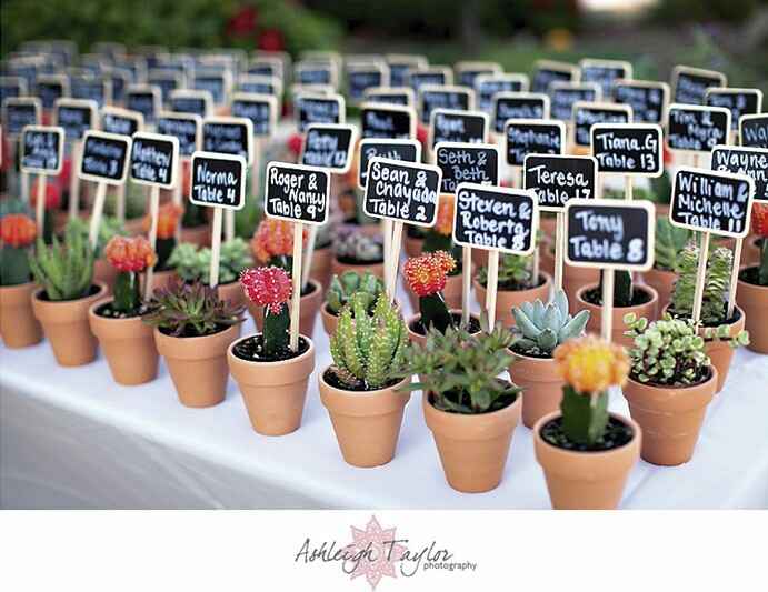 Que opinan de las plantitas de recuerdo de boda? - 1