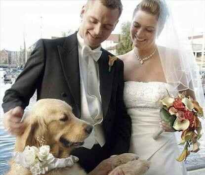 Mi bebé de 4 patas en mi boda !!! - 5