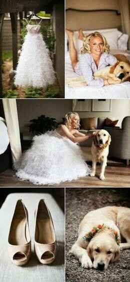Mi bebé de 4 patas en mi boda !!! - 11