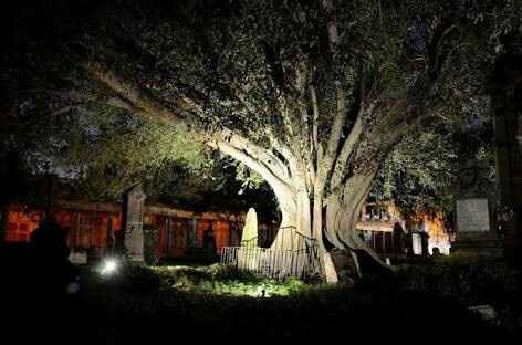 Sesión de fotos , en el panteón - 2