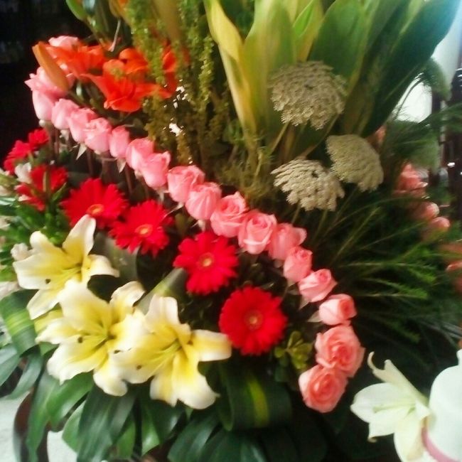 Mi petición formal - 1