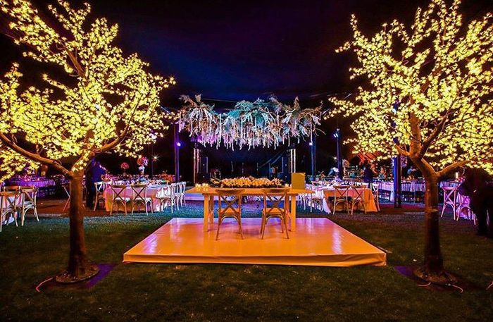 Nos casamos !! Resumen 2