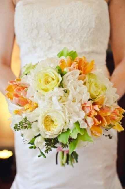 Cual ramo elegir?? - 6