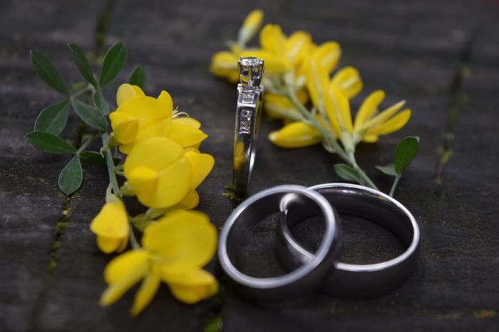 anillo de compromiso