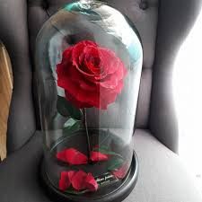 Mis recuerdos de ensueño #miriam 1