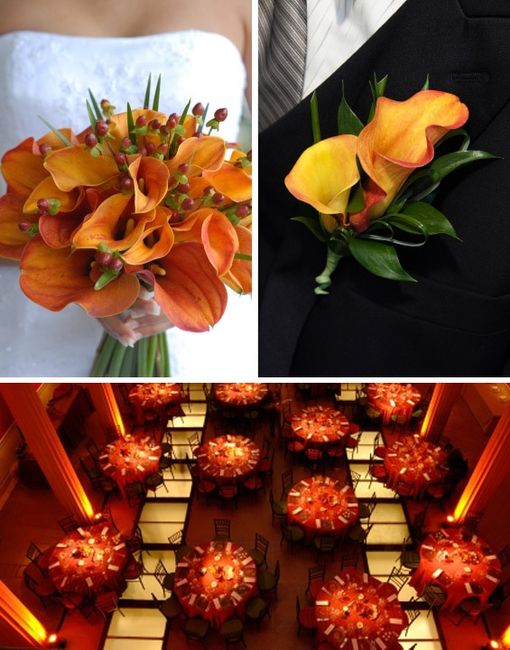 Boutonniere: Floral vs Creativo - 1