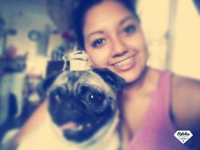 Conoce a mi mascota - 1