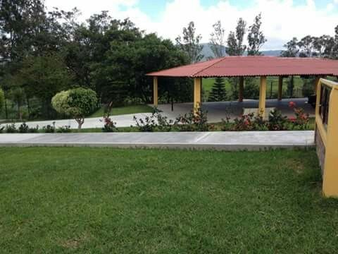 Ayuda en decoración!! - 2