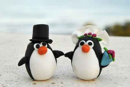 pinguinos
