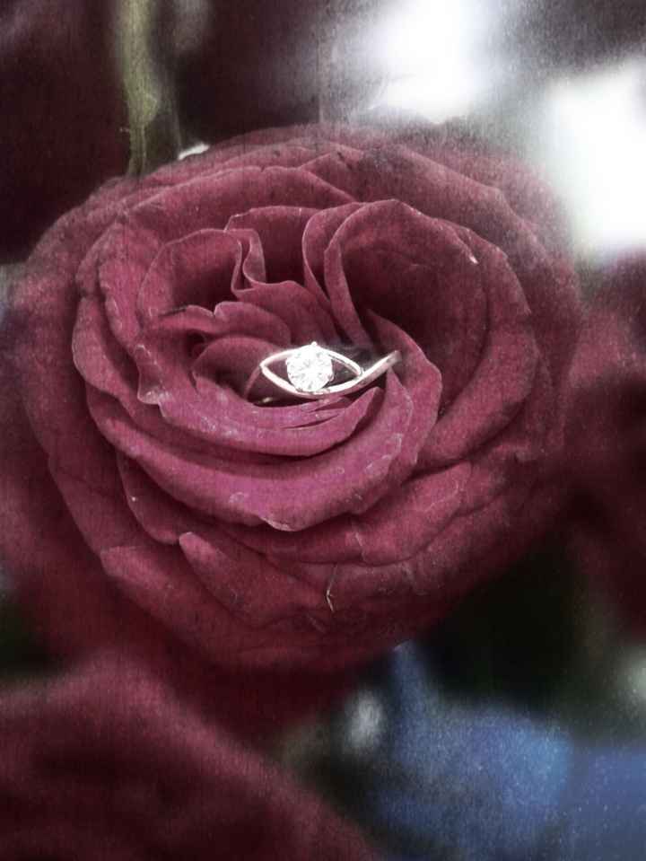 ANILLO DE COMPROMISO