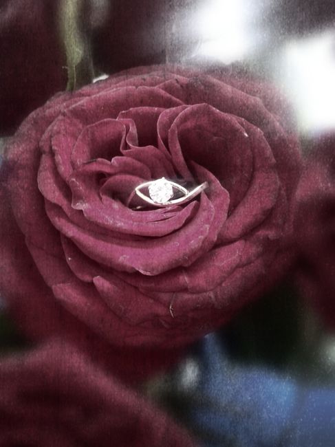 ANILLO DE COMPROMISO