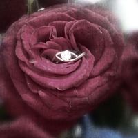 ANILLO DE COMPROMISO