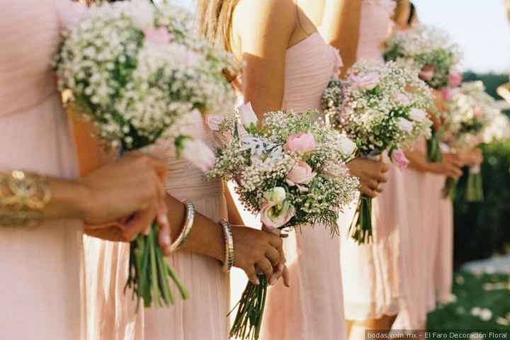 De que color son tus damas - 6