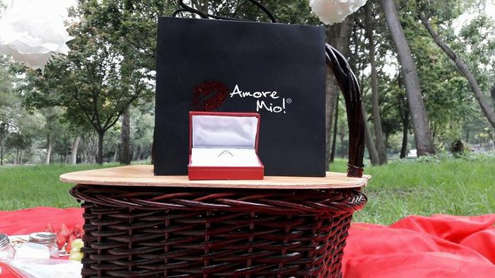  Como fue su propuesta de matrimonio en fotos nenis - 2