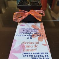 Pedida de damas - 1