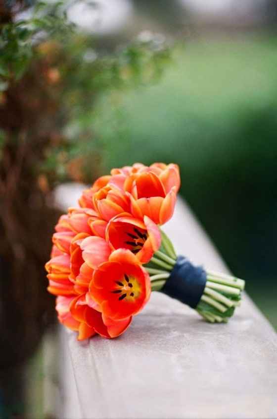 *12 tipos de ramos imponentes* - 4