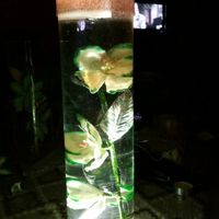 Centro de mesa!!! - 2