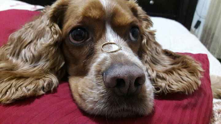 Mi anillo favorito es... - 1