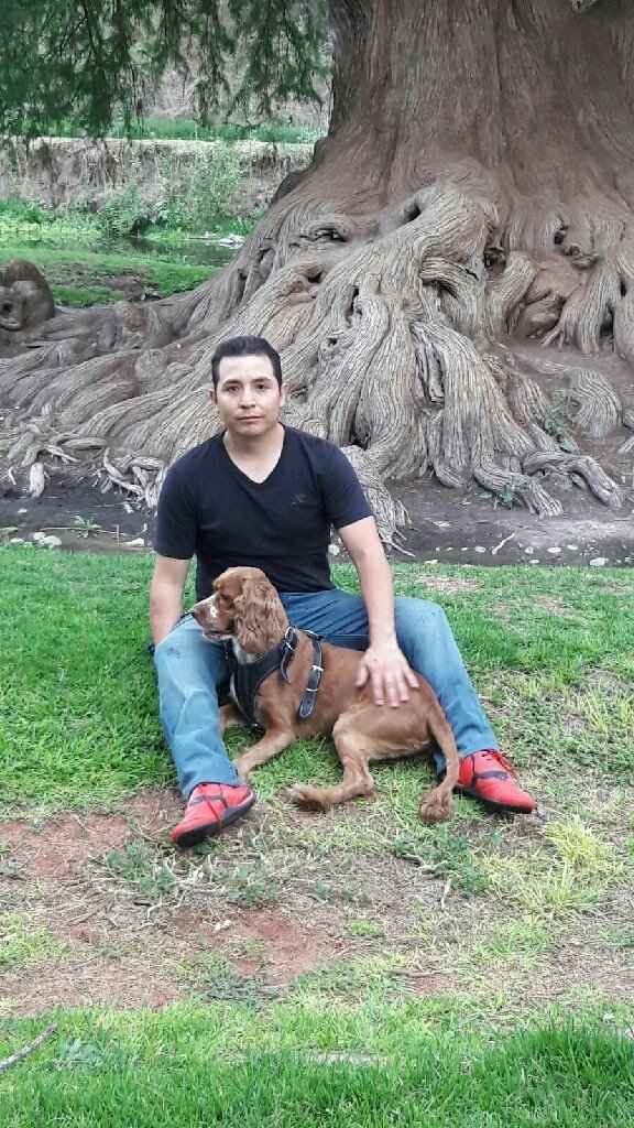 Por fin nos casamos...en la pecera del amor 💏💑🚐 - 20