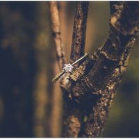  ¡presuman su anillo! - 1