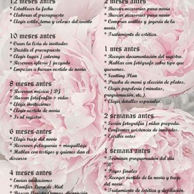 ¿Por dónde empiezo?👰🏻‍♀️ 5