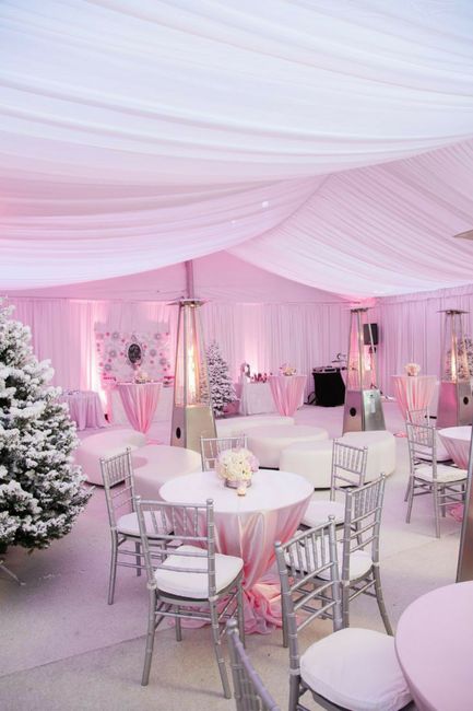 Techos en rosa para salon de fiesta 🎀 7