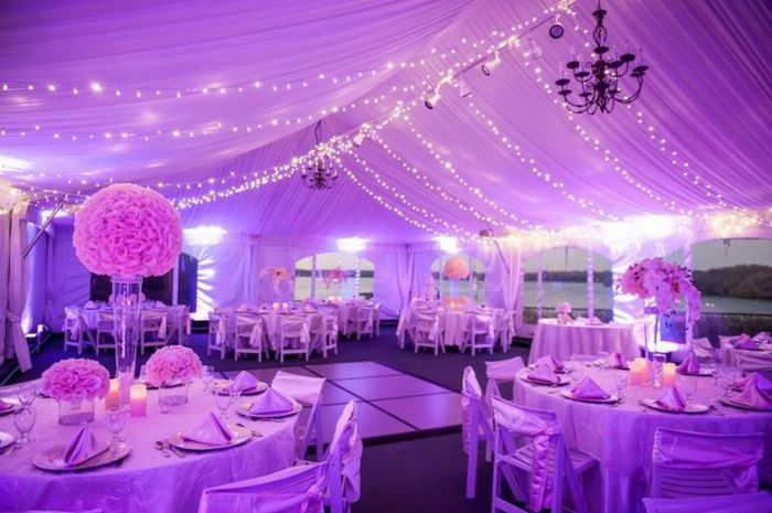 Techos en rosa para salon de fiesta 🎀 10