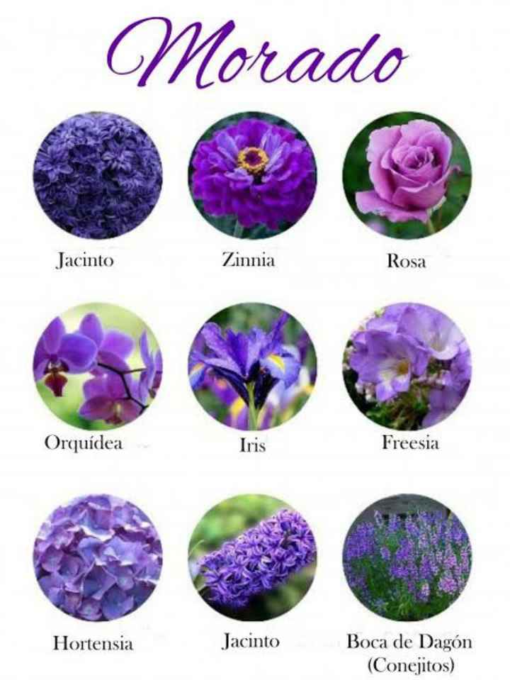 Flores moradas 🌈💜 - 9