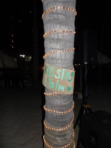 Kissing palm