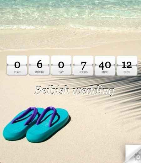 6 meses