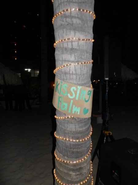 Kissing palm